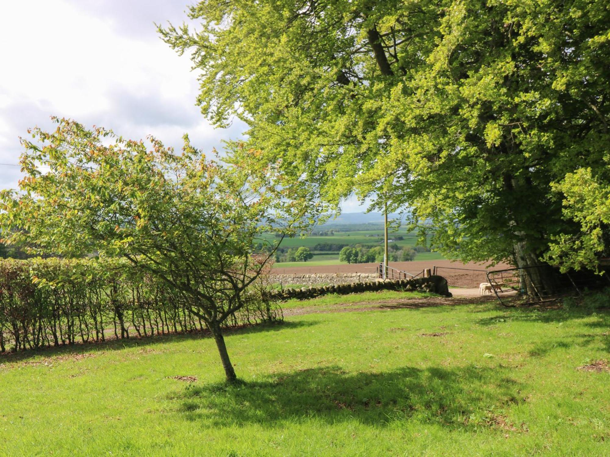 North Lodge Forfar Εξωτερικό φωτογραφία